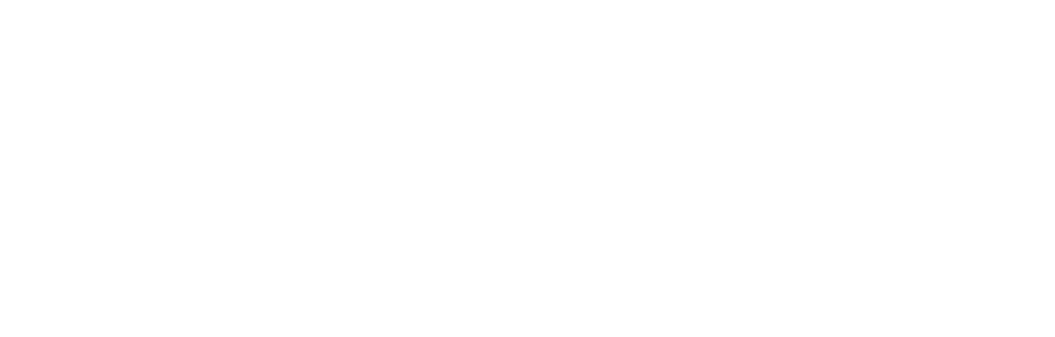 Vidyut Power Solution